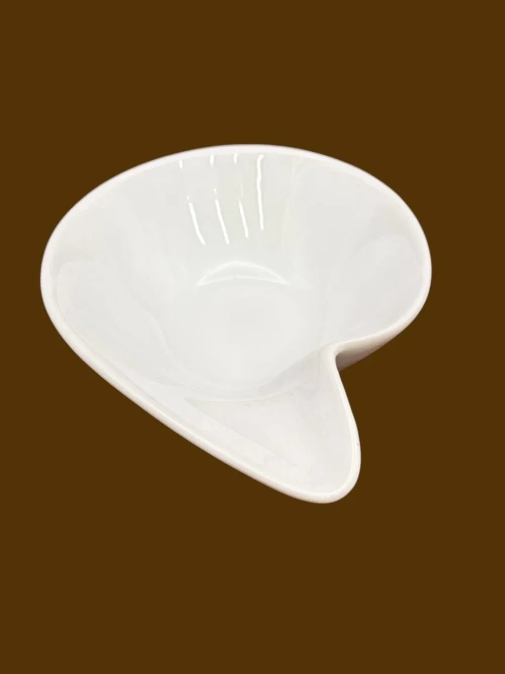 White Nautilus Shell Shaped Bowl Made Of Porcelain Ceramic Dish Bowl Small Plate